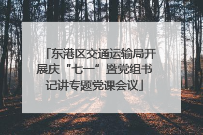 东港区交通运输局开展庆“七一”暨党组书记讲专题党课会议
